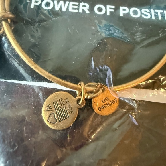 ALEX & ANI DISNEY PARKS "FROZEN'S" ELSA & ANNA Gold Bangle Bracelet 2014 Retired - Picture 5 of 7